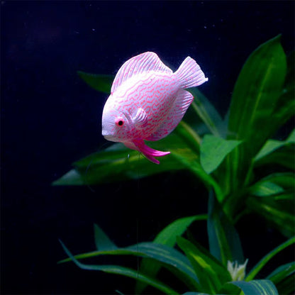 Glow in the Dark Artificial Aquarium Goldfish Ornament Fish Tank Jellyfish for Garden Ornament Fish Tank Decoration